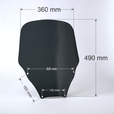 Szyba do Forza 300 2021–